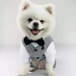 Elegant Cotton Wedding Suit for Small Dogs - Image 3