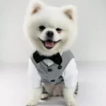 Elegant Cotton Wedding Suit for Small Dogs