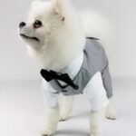 Elegant Cotton Wedding Suit for Small Dogs - Image 4