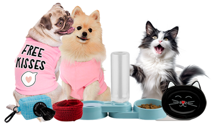 Wishapop Store 107 DOG AND CAT