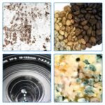 Reusable Electronic Dehumidifier Card for Photography Equipment & Home - Image 5