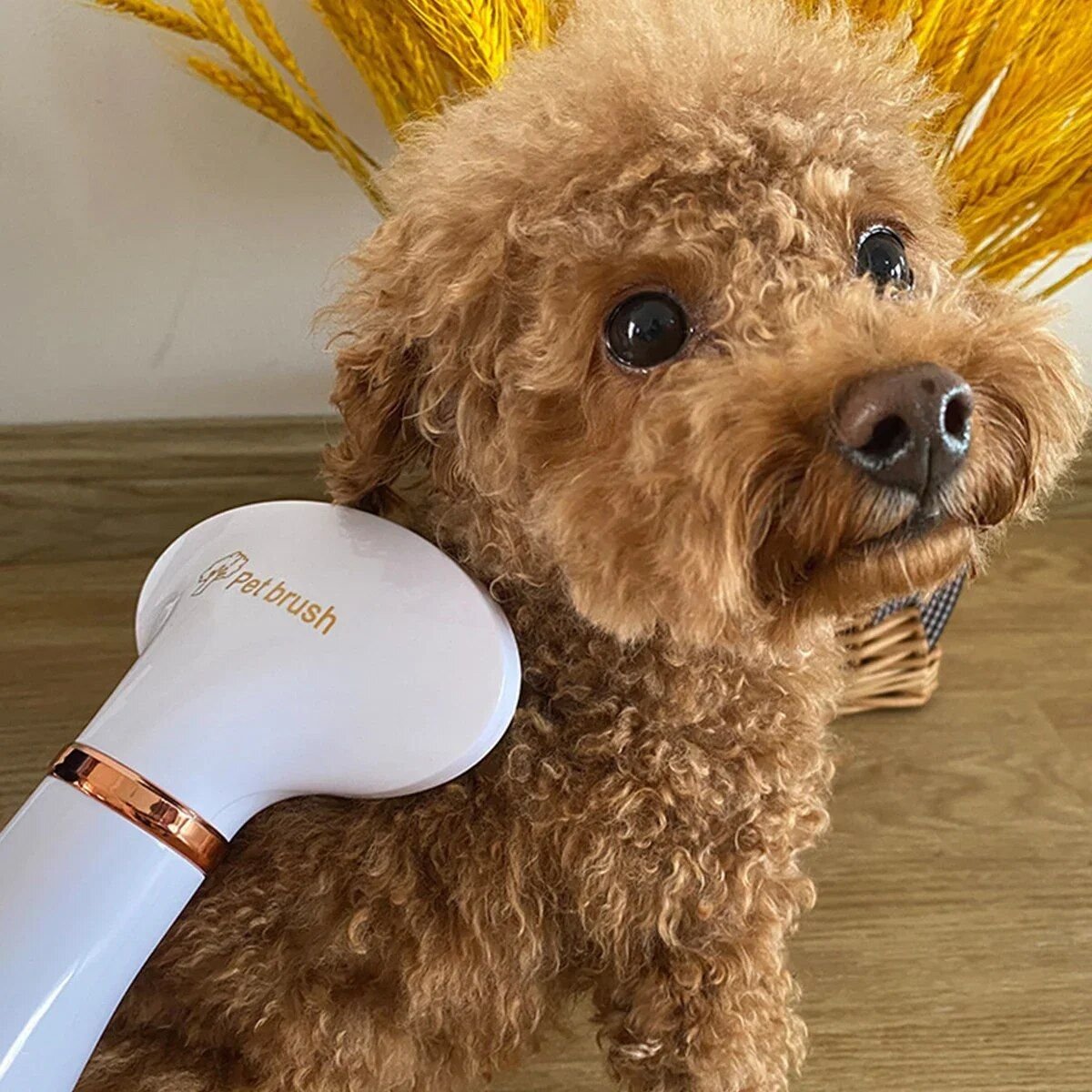Hair Dryer and Comb Brush Portable Dog Hair Blower Adjustable Temperature Low Noise Pet Grooming Hair Dryer Puppy Fur Blower 9 31502 ab5d85