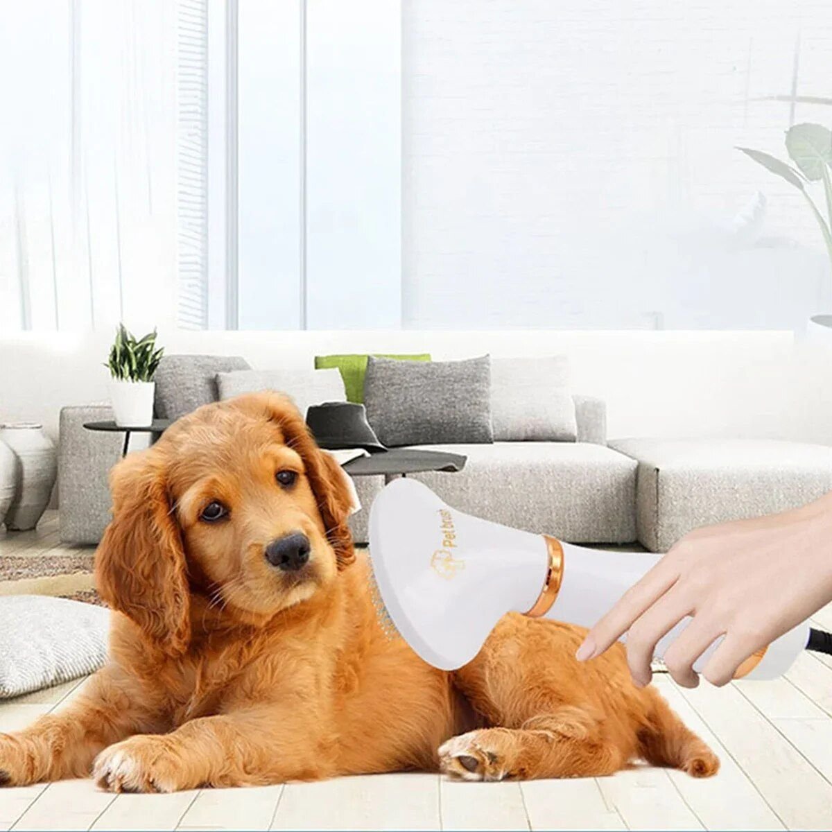 Hair Dryer and Comb Brush Portable Dog Hair Blower Adjustable Temperature Low Noise Pet Grooming Hair Dryer Puppy Fur Blower 8 31502 fe7d42