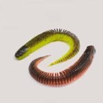 Versatile Floating Soft Bait Lures - Image 6