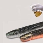 Versatile Floating Soft Bait Lures - Image 4