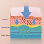 Advanced Facial Steamer & Skin Rejuvenator with Ultrasonic Scrubber - Image 6