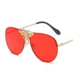 Luxury Retro Butterfly Sunglasses - Image 6