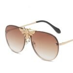 Luxury Retro Butterfly Sunglasses - Image 7