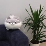 Corgi Plush Pillow - Image 5