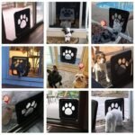 Lockable Magnetic Pet Door for Cats and Dogs - Easy Install, Safe and Stylish - Image 4