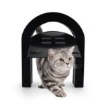 Easy-Install Magnetic Pet Screen Door for Cats