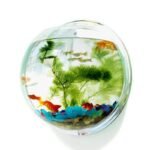 Wall-Mounted Acrylic Fish Bowl Aquarium - Elegant Home Decor - Image 3