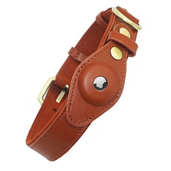 Pet Collar