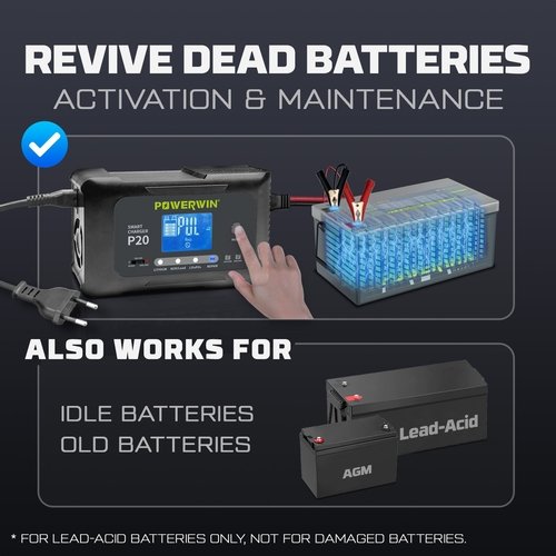 5_8e4d1506-f839-4427-8b33-cf734eca7875.jpg Powerwin P20 12V/24V 20A Automatic Battery Charger for Car, Truck, - Image 6