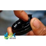 AMBIL - AMPIRI PASTE / 10gr at 1kg - (Mapacho Extract) - 100% Pure Paste Extract Strong - Image 2