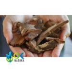 CHUCHUHUASI PASTE / 10gr at 1kg / - (Maytenus Laevis) 100% Pure Paste Extract - Image 2