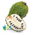 GUANABANA PASTE / 10gr at 1kg / - (Annona Muricata) 100% Pure Paste Extract - Image 2