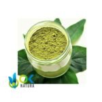 MAMBE / 30gr at 2kg / - Coca Leaf + Cetico Ash - Image 2