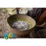 MAMBE / 30gr at 2kg / - Coca Leaf + Cetico Ash - Image 4