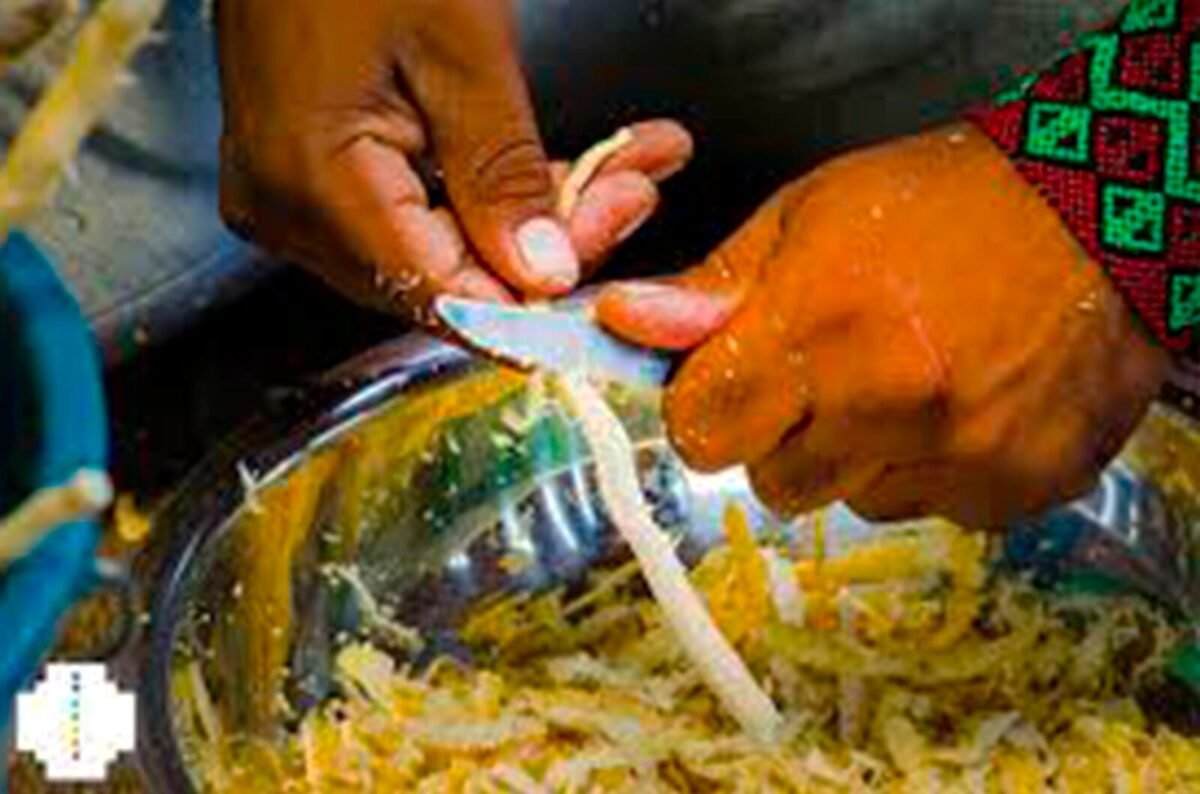 SANANGA LIQUID - (Tabernaemontana undulata) Apocynaceae - Colirio Matzes - Image 5